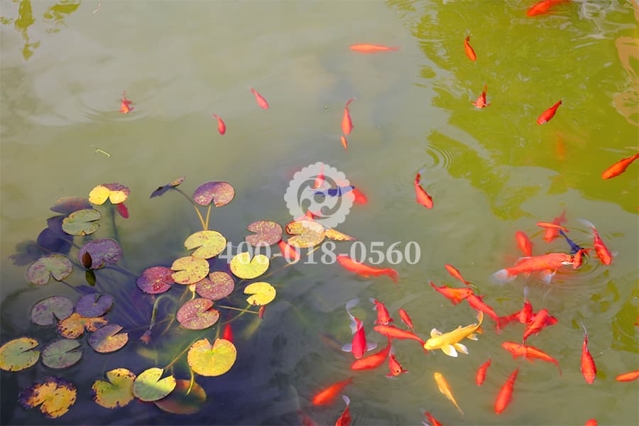 怀思堂园区一景