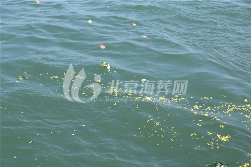 海葬