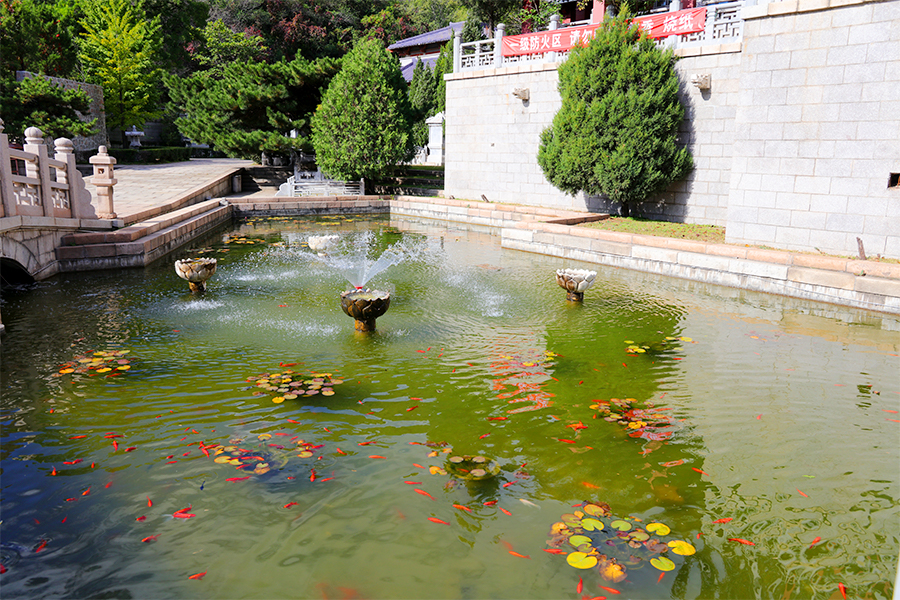 陵园水系