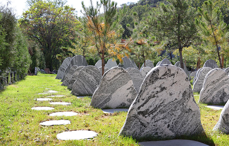 多样化的安葬形式-骨灰寄存和室外生态葬
