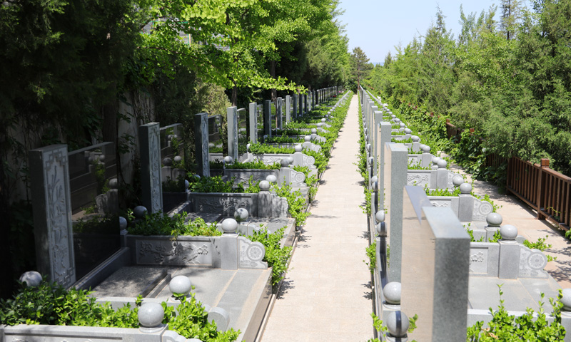 灵山宝塔陵园艺术立碑墓区实拍
